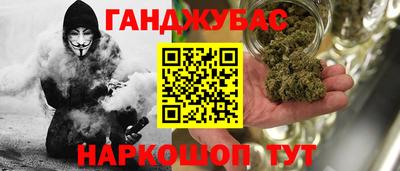 сатива Будённовск