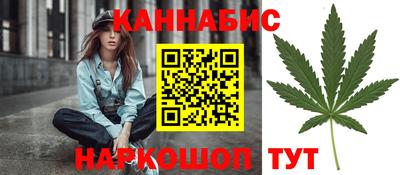 сатива Будённовск