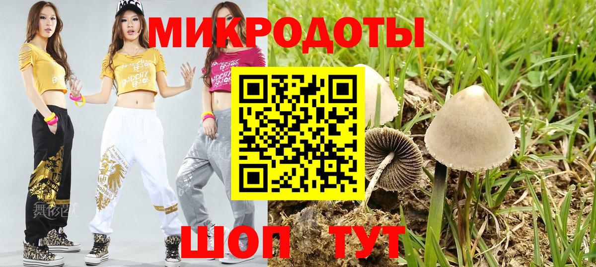 Псилоцибиновые грибы GOLDEN TEACHER  Псилоцибиновые грибы Psilocybe  Рубцовск  Вход с VPN 
