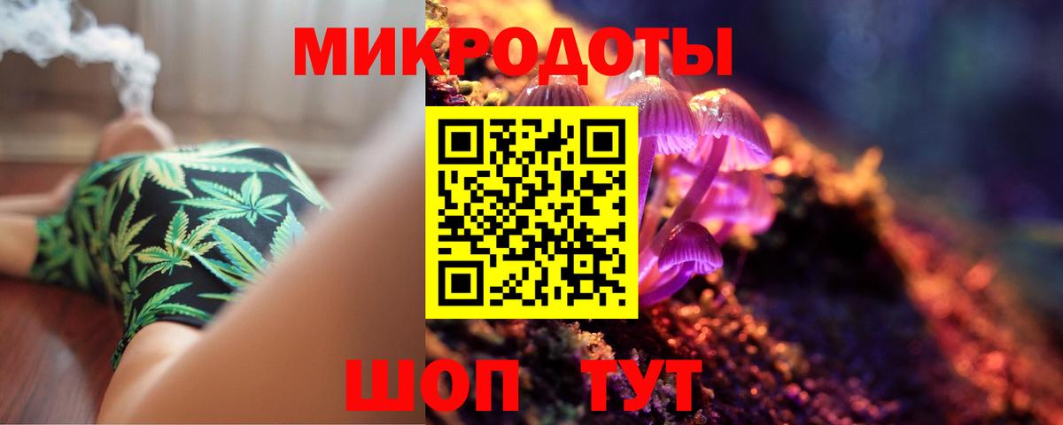 Псилоцибиновые грибы Cubensis Рубцовск